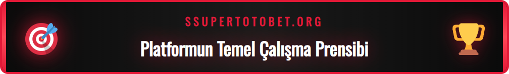 Www Supertotobet nedir sorusunu yanıtlayan bilgilendirici grafik